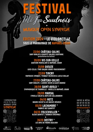 Des Notes Aux Champs Festival De Musique A Nancy Mifasaul Affiche Avec 2206 1